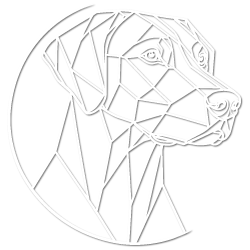 Ridgeback Diaries - Hundetraining