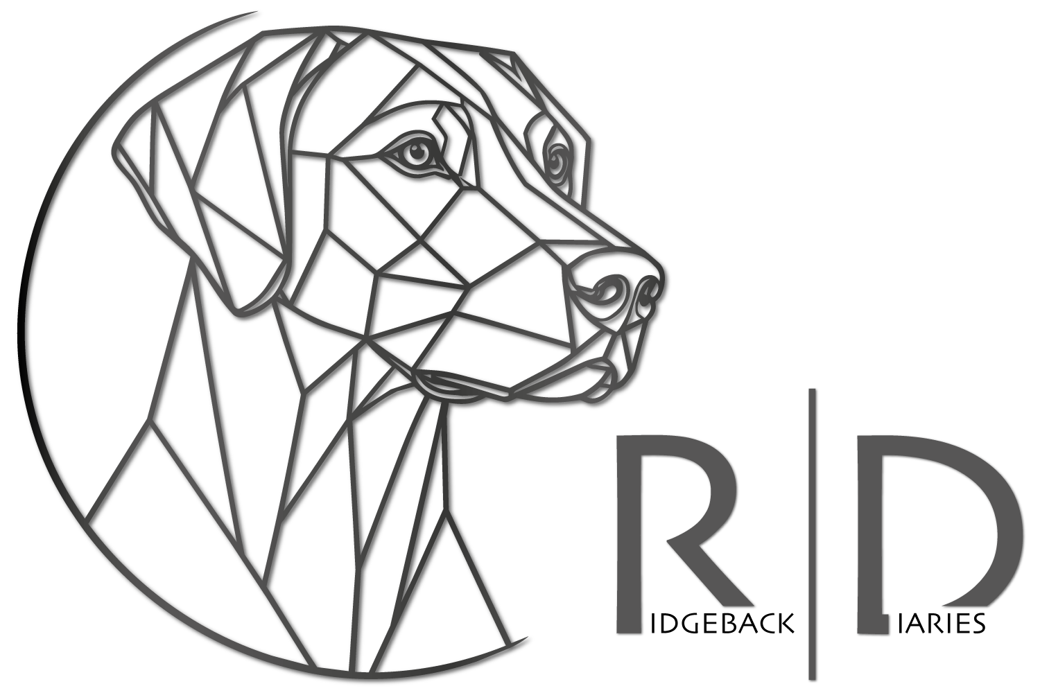 Ridgeback Diaries - Hundetraining