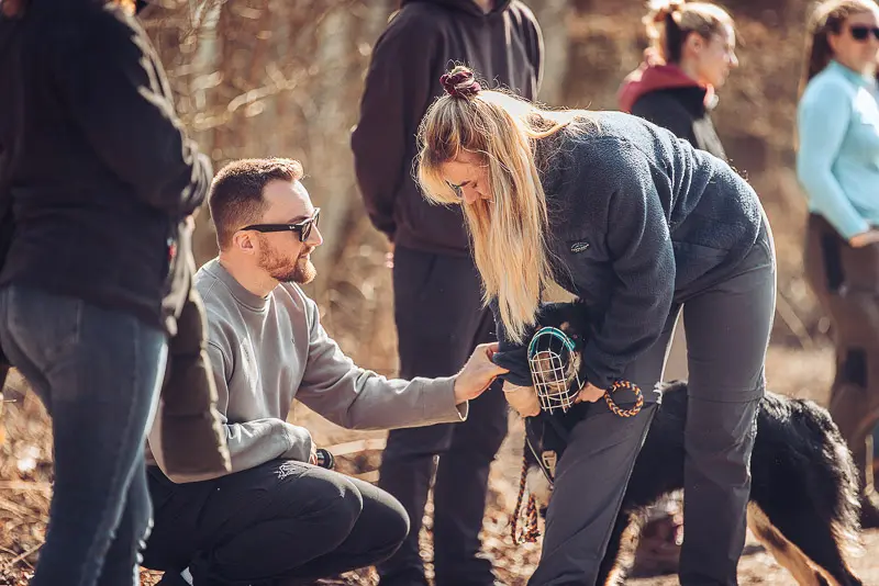 Hundetraining / Workshops mit Max Pothmann