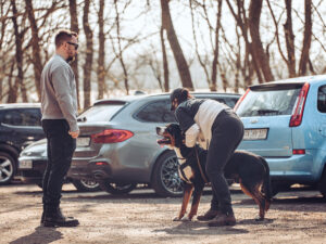 Pforzheim Workshop Level 1 23.10.26